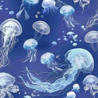 Jellyfish