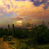 The Sonoran Desert, Southern Arizona