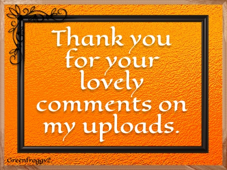 THANK YOU - YOU, COMMENT, THANK, CARD