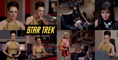 Drea and Isis The Cat - assignment earth, by any other name, drea, isis the cat, star trek, star trek tos