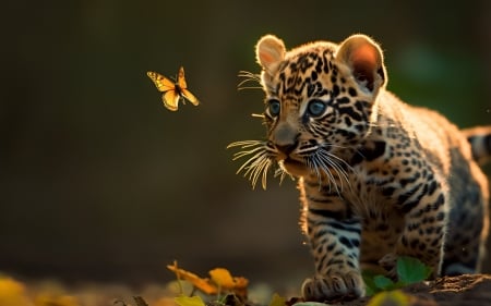 Tiger cub