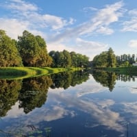 Water Mirror