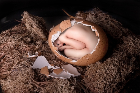 Woman Hatching from her egg !!! - egg, naked, rocks, model