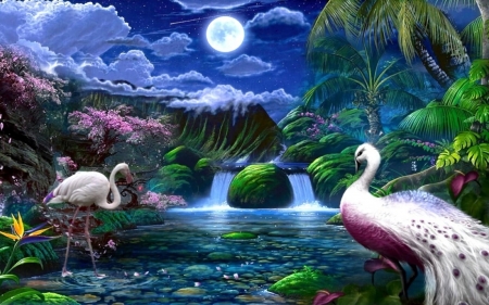 Magical Paradise - night, birds, moon, palm, trees, clouds, waterfalls, sky, painting