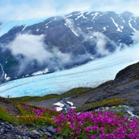 Exit Glacier along the Harding Icefield Trail, Kenai Fjords National Park, Alaska
