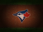 Toronto Blue Jays