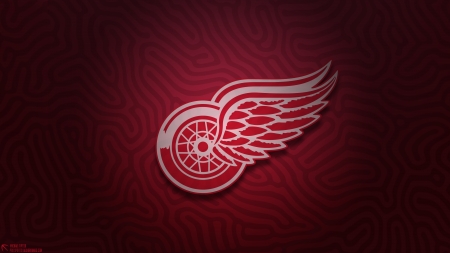 Detroit Red Wings - nhl, ice hockey, detroit red wings, red wings