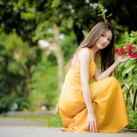 Asian Beauty in a Yellow Dress