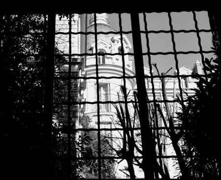 View From Inside - view, building, trees, window, inside, photography, architecture