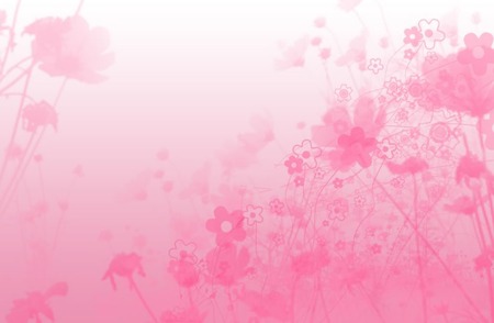 pink flower. jpg - flowers, spring, pink, bloom