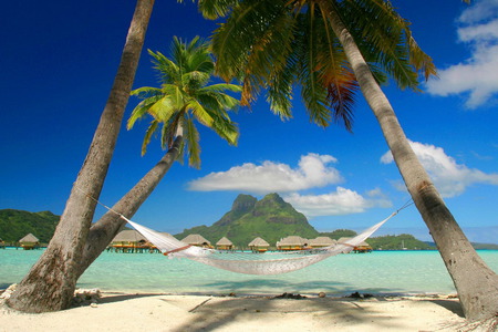 Beach - blue skies, sky, beach, paradise, hammock, water, fresh air, volcano, m, relaxation, bora bora, cool, clouds, sand, palm trees, mountain, palm tree, quiet place, palms, blue, sea