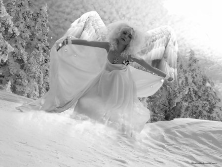 Winter Angel - beauty, winter angel, angel, photography, winter, black, storm, white, abstract, snow, angels