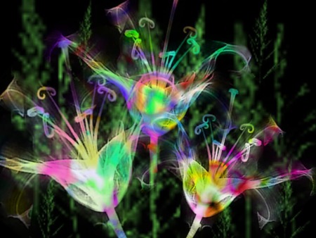 Neon Flowers.jpg - funky, flowers, colorful, neon