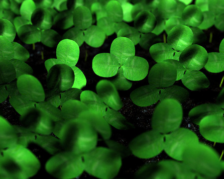 clover lear green design .jpg - 4leafed, party, shamrocks, stpatrickes