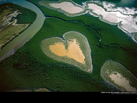 Heart in Voh New Caledonia French Overseas - forests, heart, nature, green, new caledonia