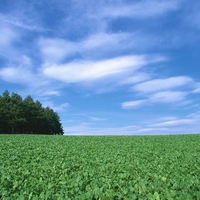 Hokkaido Island, Japan