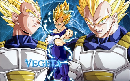 DragonBallZ Vegeta - vegeta, dragon, z, ball