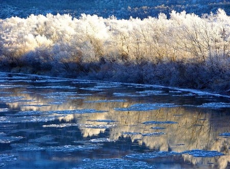 Winter Reflections - reflections, trees, winter, blue, amazing, beautiful, gougeous, cool, wonderful, ice, frozen, white, nature, awesome, nice, sky