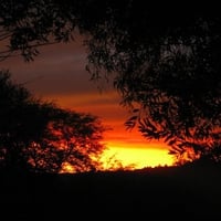 S. African Sunset