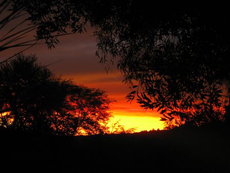 S. African Sunset - nature, sky, trees, south, sunset, africa, sunrise