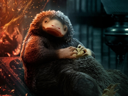 Fantastic Beasts: The Secrets of Dumbledore 2022 - fantastic beasts, creature, the secrets of dumbledore, fantasy, cute, movie, pister, afis