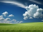 Green field with blue sky