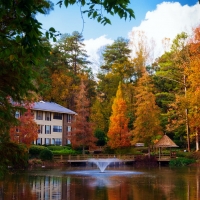 Fall Colors at Atlanta, Georgia