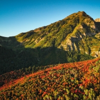 Fall has arrived on Mt. Timpanogos, Wasatch Mountains, Utah