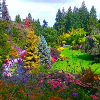 Queen Elizabeth Garden, Vancouver