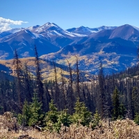 Rio Grande National Forest, Colorado
