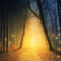 Mystical forest in autumn