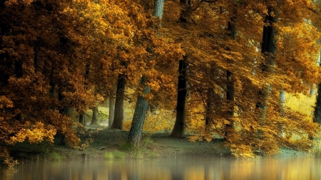 Autumn Park - fall, trees, water, pond, colors, leaves