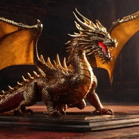 Maroon And Gold Dragon