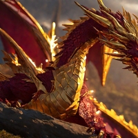 Maroon And Gold Dragon