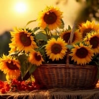 Basket of Sunflowers