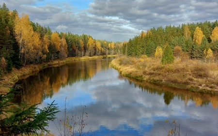 River in Fall - Latvia, river, clouds, autumn, spruces