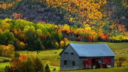 Autumn colors - trees, beautiful, slope, colors, mountain, fall, view, barn, autumn, farm