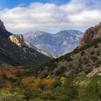 Chiricahua Mountains, Arizona