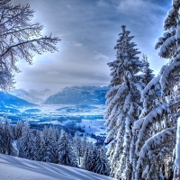 Beautiful winter view