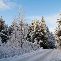 Snow Covered Mountain Road