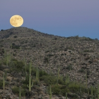 From the side of Mt Lemmon highway, outside Tucson, Arizona