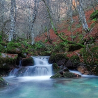 Autumn Colors at a Waterfall