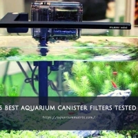 Top 5 best aquarium canister filters tested 2023