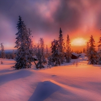 Winter Landscape