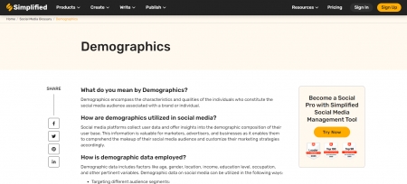 Understanding the Significance of Demographics in Social Media | Simplified - demographics meaning, what does demographics mean, what is demographics in social media, what mean demographic