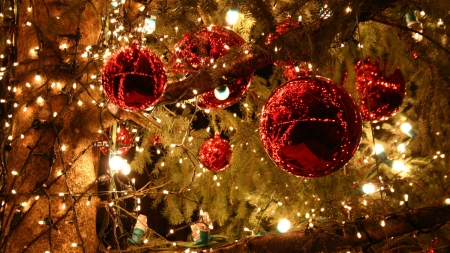 Christmas Ornaments - abstract, christmas, closeup, ornaments