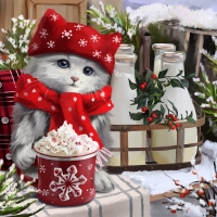 The Cat and The Cream