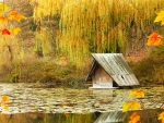 Duck house, Lipnik Forest Park in autumn, Bulgaria