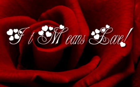 Means Love - roses, red, quote