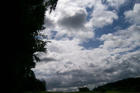 Storm coming - storm, clouds, landscape, trees